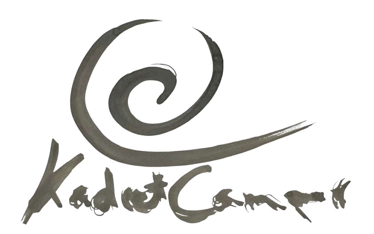 Kadret Camper logo